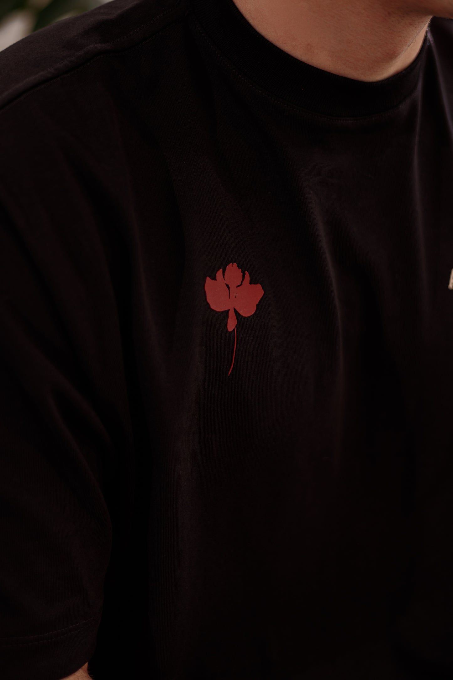 CAMISETA SIMETRÍA BOTÁNICA - OVERSIZED NEGRA