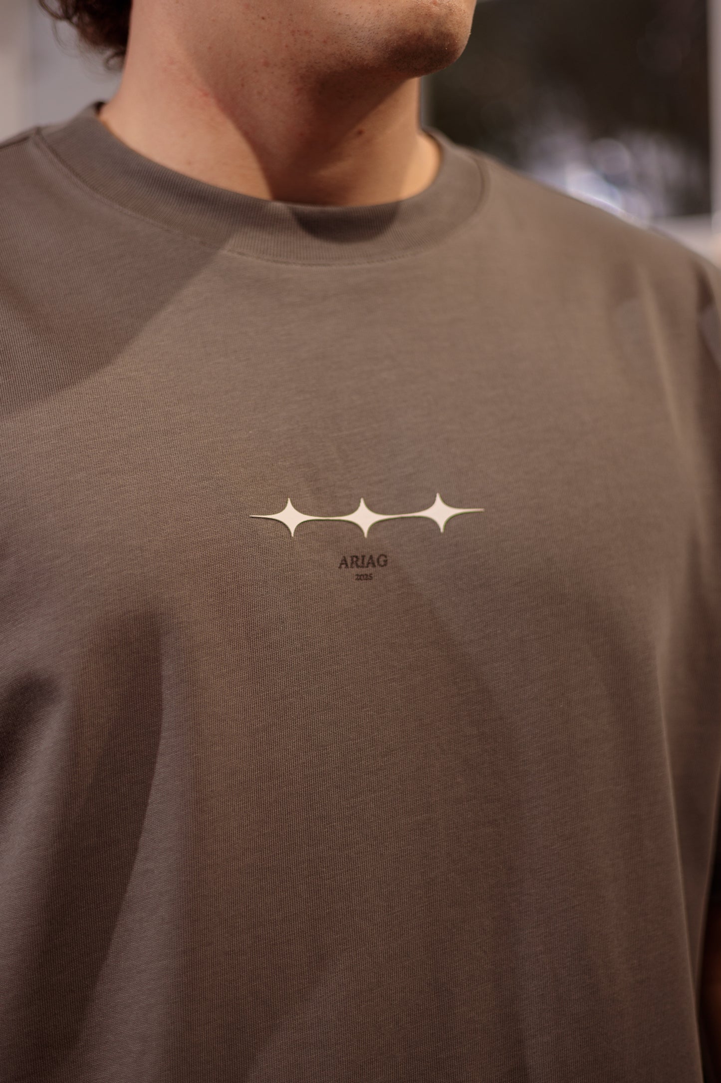 CAMISETA SEMITONO FLORAL - REGULAR GRIS